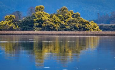 Espectacular terreno de 4ha con 200m de frente de río Angachilla, Valdivia