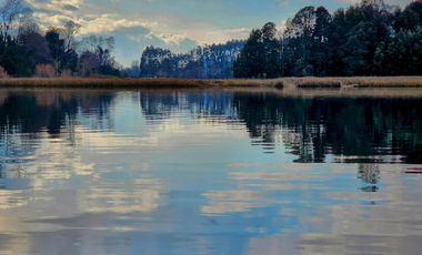 Espectacular terreno de 4ha con 200m de frente de río Angachilla, Valdivia
