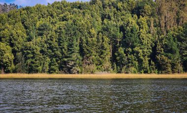 Espectacular terreno de 4ha con 200m de frente de río Angachilla, Valdivia