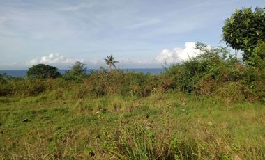 Idyllic Beachfront Property for Sale in Zaragosa Island, Badian, Cebu – Perfect for Resort Development
