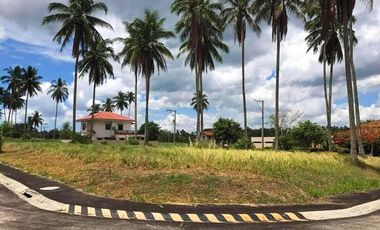 Residential lot for sale in MONTELAGO NATURE ESTATES Laguna