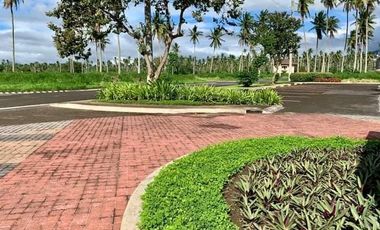 Residential lot for sale in MONTELAGO NATURE ESTATES Laguna
