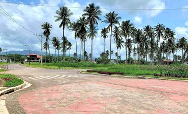 Residential lot for sale in MONTELAGO NATURE ESTATES Laguna