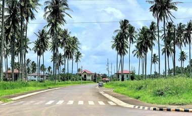 Residential lot for sale in MONTELAGO NATURE ESTATES Laguna