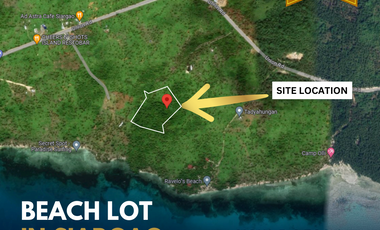 For Sale: Vacant Beach Lot in Siargao with Clean Title and Tax Dec