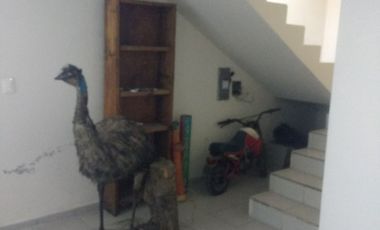 Nave en Renta en Toluca Colonia Barrio de Jesus
