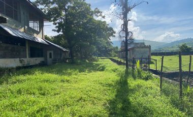 ❗REPRICED, RUSH SALE! 3.159 hectare farm land with house and improvements for sale in Zambales