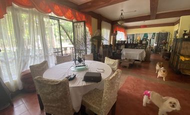 ❗REPRICED, RUSH SALE! 3.159 hectare farm land with house and improvements for sale in Zambales