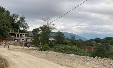 Titled Lot for Sale 30 Mins. from Baguio City | Fretato ID: FM239