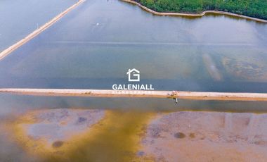 Camaronera en Isla en Venta en Pongal, Puerto Jelí, Ecuador