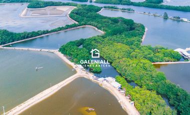 Camaronera en Isla en Venta en Pongal, Puerto Jelí, Ecuador