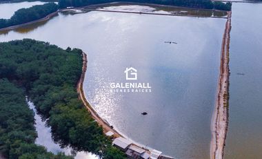 Camaronera en Isla en Venta en Pongal, Puerto Jelí, Ecuador