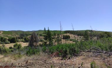 Éxito en venta de parcela!!!