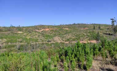 Éxito en venta de parcela!!!