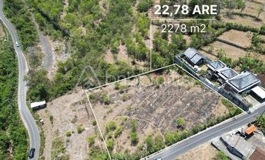 Investment Opportunity: Stunning Land 22,78 Are for Sale Freehold in Central of Ungasan