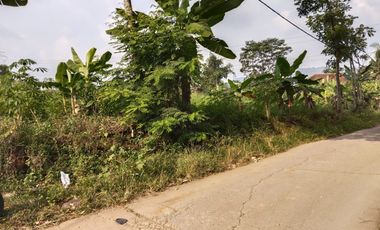 1,2 Ha Tanah Kebun Murah,  Datar & Pinggir Jalan, Cipatat Bandung Barat