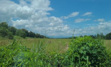 Terreno de Venta vía Samborondón