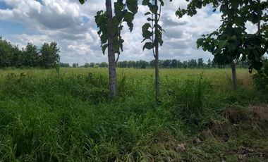 Terreno de Venta vía Samborondón