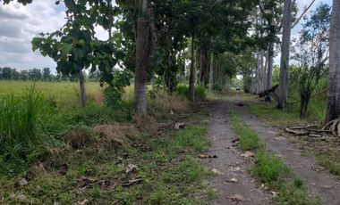 Terreno de Venta vía Samborondón