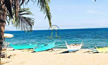 Beach House For Sale in Lobo, Batangas