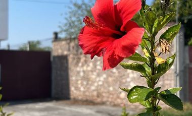 ESTUPENDA BODEGA EN JOJUTLA MORELOS