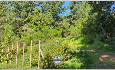 VENDE PARCELA FUNDO EL SAUCE - LAGUNA VERDE - VALPARAISO