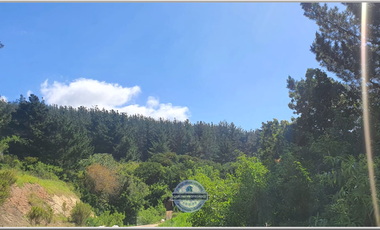 VENDE PARCELA FUNDO EL SAUCE - LAGUNA VERDE - VALPARAISO