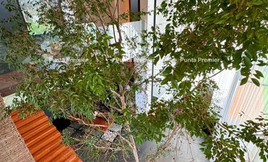 Residencia En Renta Zotogrande Andares Zona Dorada Zapopan.