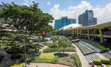 FS: Prime Commercial Lots in Cebu Business Park
