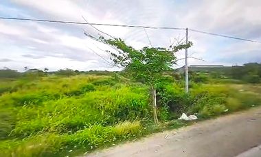 AGRICULTURAL LOT FOR SALE IN BULACAN