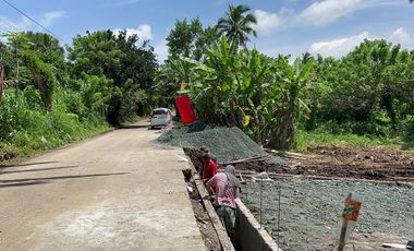 300 SQM  FARM LOT FREE TRANSFER TO BUYER IN ALFONSO CAVITE
