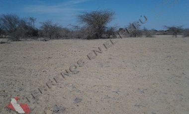 Terreno en Olmos – Chiclayo de 858 Has