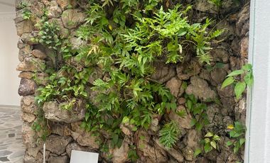 CASA en  Zona Centro Frente al Parque de la Música