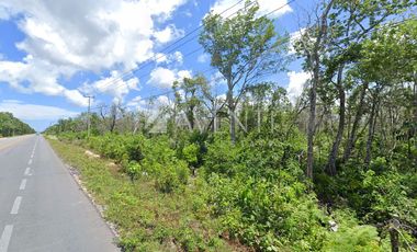 Terreno escriturado en venta en Carretera Cancún - Merida.