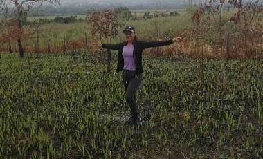 VENDO TERRENO A 10 KM de TARAPOTO 3252 M2 A  15 MINUTOS DE LA CIUDAD. Partida 11193158
