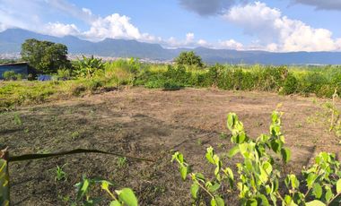 VENDO TERRENO A 10 KM de TARAPOTO 3252 M2 A  15 MINUTOS DE LA CIUDAD. Partida 11193158