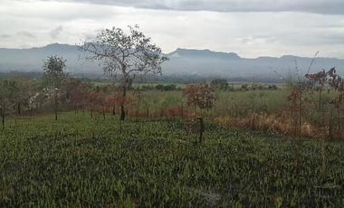 VENDO TERRENO A 10 KM de TARAPOTO 3252 M2 A  15 MINUTOS DE LA CIUDAD. Partida 11193158