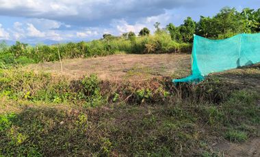 VENDO TERRENO A 10 KM de TARAPOTO 3252 M2 A  15 MINUTOS DE LA CIUDAD. Partida 11193158