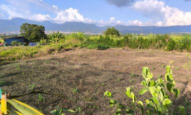 VENDO TERRENO A 10 KM de TARAPOTO 3252 M2 A  15 MINUTOS DE LA CIUDAD. Partida 11193158