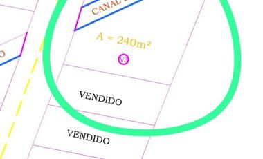 VENDO TERRENO A 10 KM de TARAPOTO 3252 M2 A  15 MINUTOS DE LA CIUDAD. Partida 11193158