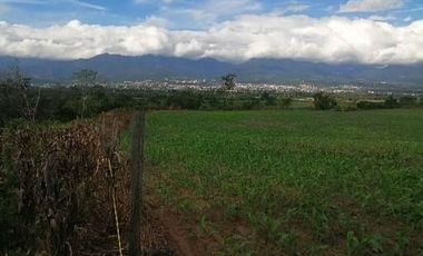 VENDO TERRENO A 10 KM de TARAPOTO 3252 M2 A  15 MINUTOS DE LA CIUDAD. Partida 11193158