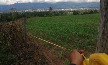 VENDO TERRENO A 10 KM de TARAPOTO 3252 M2 A  15 MINUTOS DE LA CIUDAD. Partida 11193158