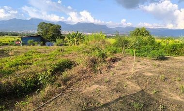 VENDO TERRENO A 10 KM de TARAPOTO 3252 M2 A  15 MINUTOS DE LA CIUDAD. Partida 11193158