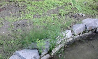 CASA EN VENTA DE SILLAR EN LAMPAZOS NUEVO LEON.......son la fachada amarilla y la marron es toda la casa