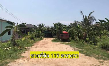 Land for sale 119 sq m, 900 m from the sea and 800 m from Sukhumvit Road, near Mae Ramphueng Beach, Taphong, Rayong.