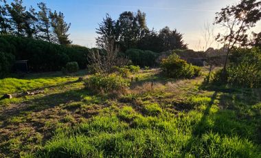 Concón, el Tambo, terreno 1600 M2, Rol propio