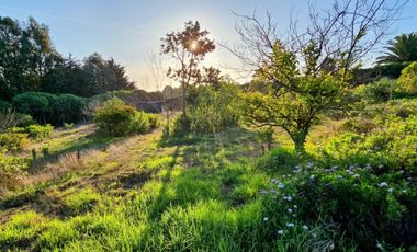 Concón, el Tambo, terreno 1600 M2, Rol propio