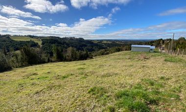 Campo en venta con casa y hermosa vista en Fresia – Región de Los Lagos