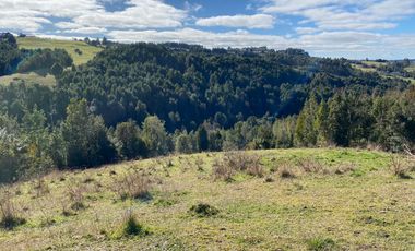 Campo en venta con casa y hermosa vista en Fresia – Región de Los Lagos