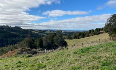 Campo en venta con casa y hermosa vista en Fresia – Región de Los Lagos